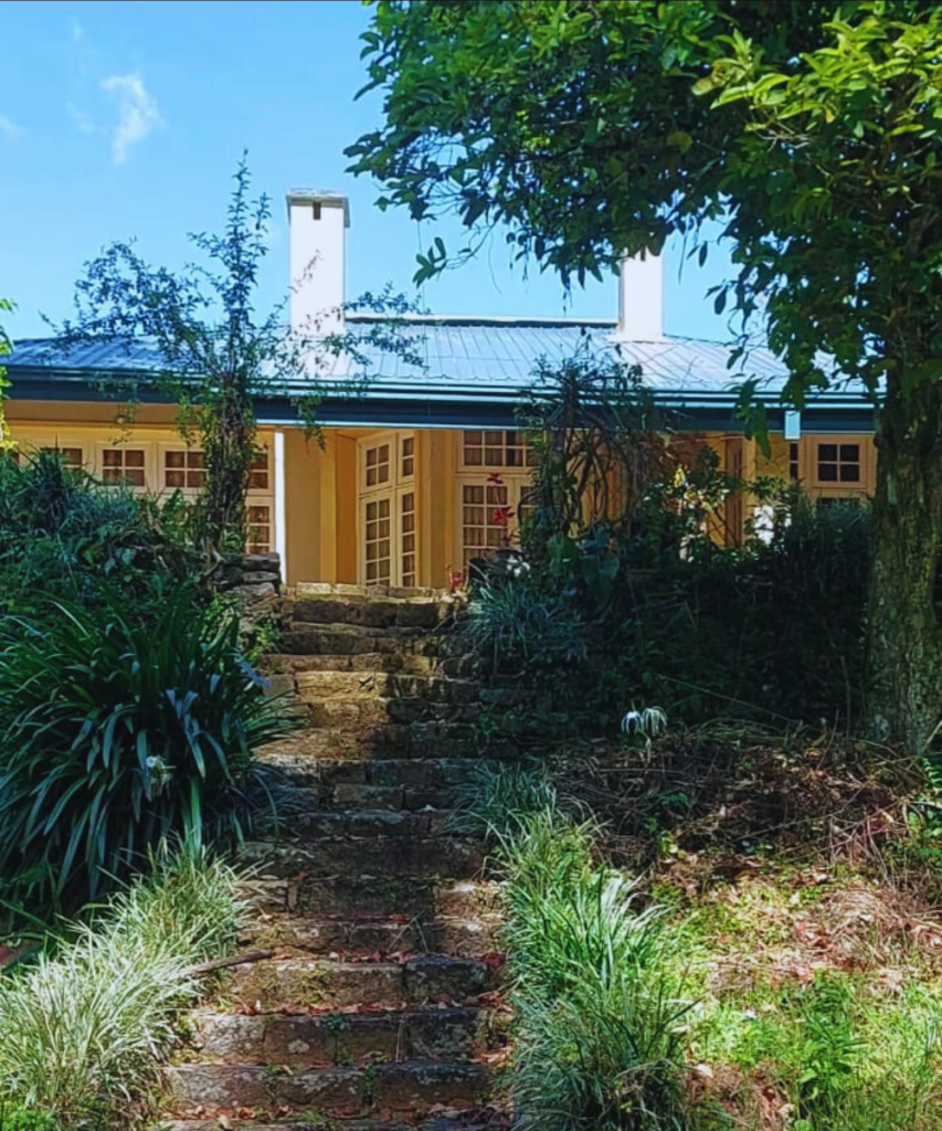 untitled design 2026 02 28t110657.797