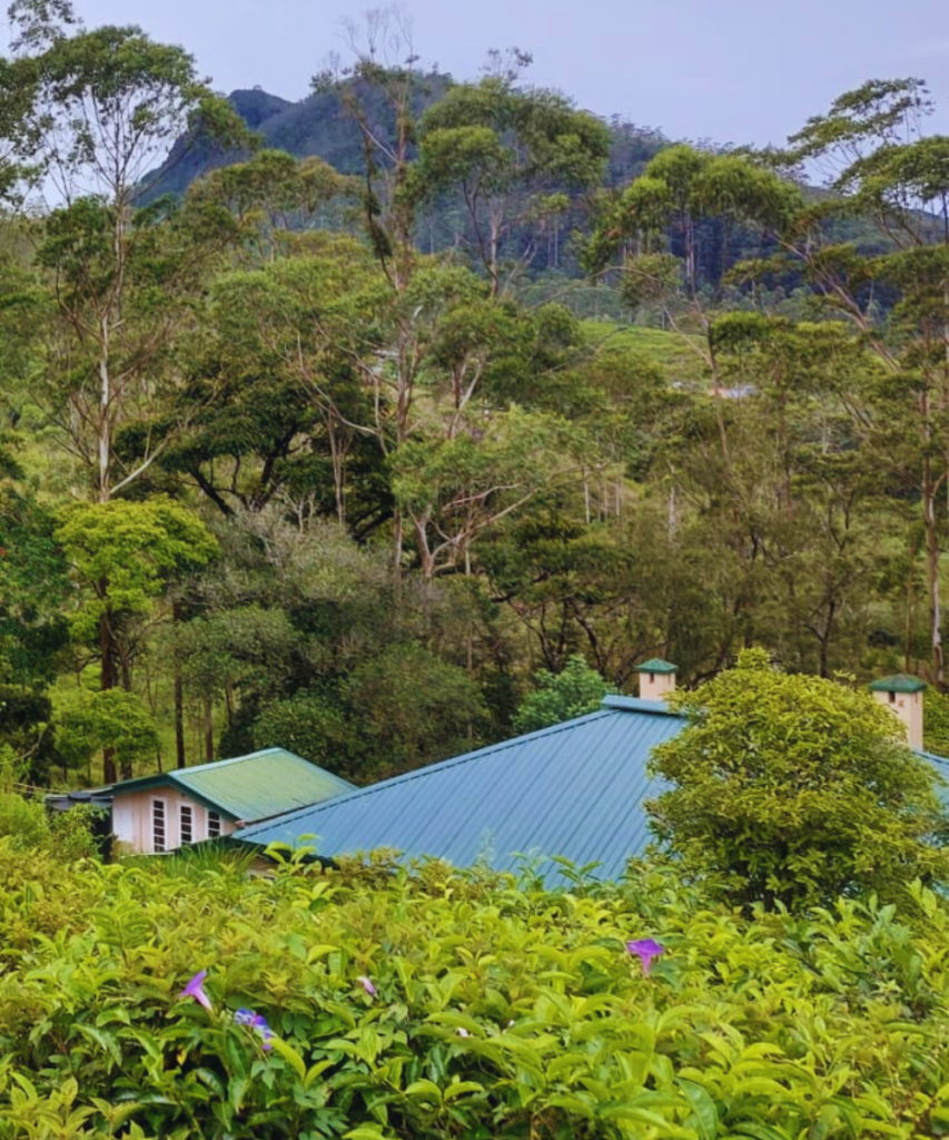 untitled design 2026 02 28t110751.729