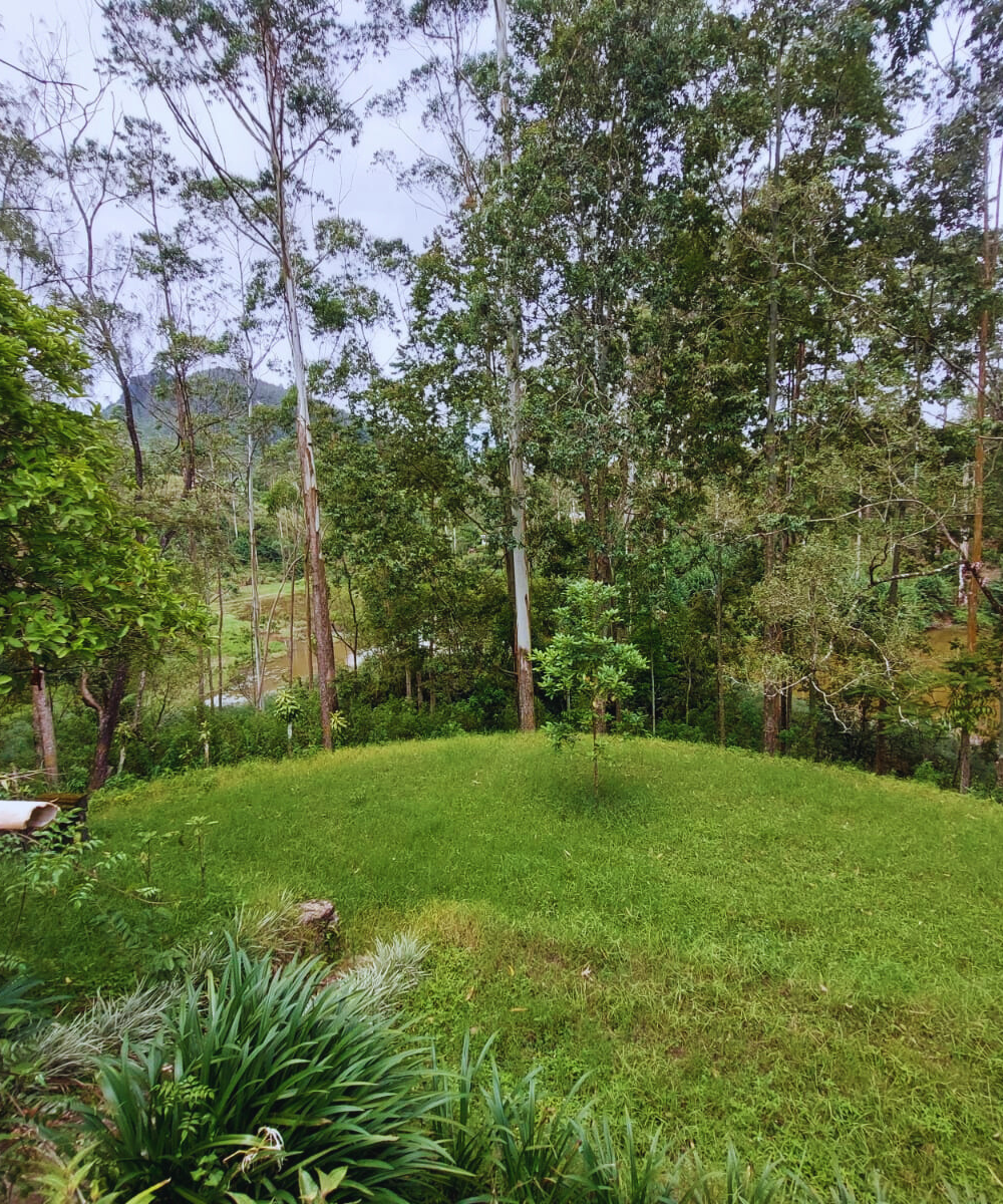 untitled design 2026 02 28t110823.412