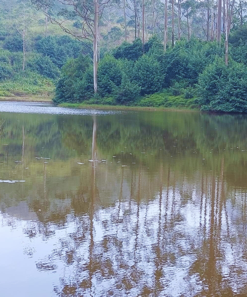 untitled design 2026 02 28t110854.883